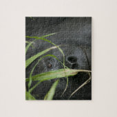 Afrika, Uganda, Bwindi Puzzle (Vertikal)
