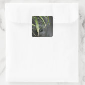 Afrika, Uganda, Bwindi Quadratischer Aufkleber (Tasche)