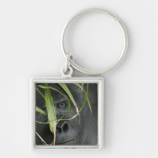 Afrika, Uganda, Bwindi Schlüsselanhänger (Vorne)