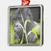 Afrika Uganda, Bwindi Silbernes Ornament (Links)