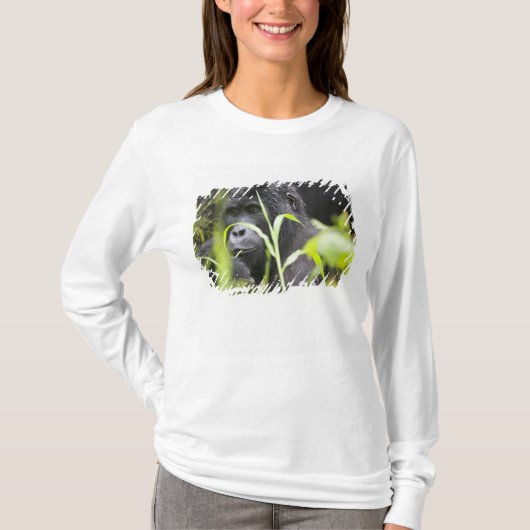 Afrika Uganda, Bwindi T-Shirt (Vorderseite)