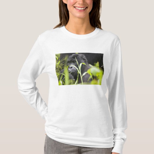 Afrika Uganda, Bwindi T-Shirt (Vorderseite)