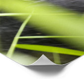 Afrika, Uganda, Bwindi, undurchdringlich, national Poster (Ecke)