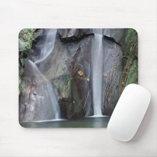 Afrika, Uganda, Bwindi Undurchdringlicher Regenwal Mousepad (Mit Mouse)