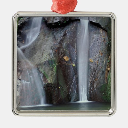 Afrika, Uganda, Bwindi Undurchdringlicher Regenwal Ornament Aus Metall (Vorne)