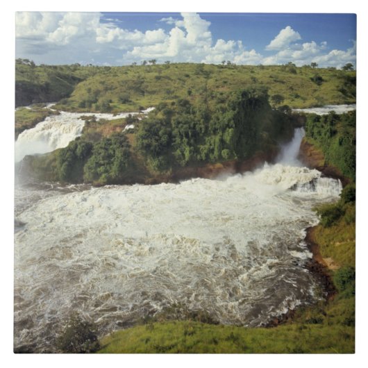 Afrika, Uganda, Murchison Falls NP. Das schaumige Fliese (Vorderseite)