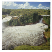 Afrika, Uganda, Murchison Falls NP. Der Frost Fliese (Vorderseite)