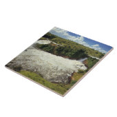 Afrika, Uganda, Murchison Falls NP. Der Frost Fliese (Seite)