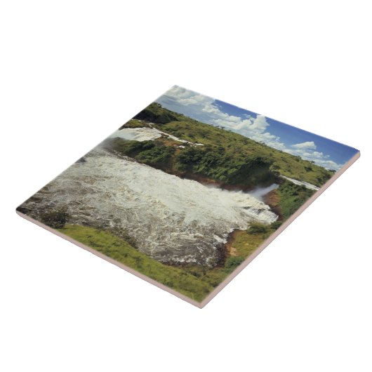 Afrika, Uganda, Murchison Falls NP. Der Frost Fliese (Seite)