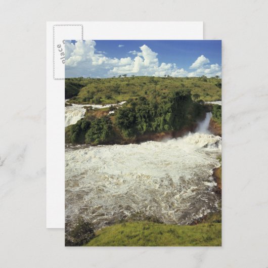 Afrika, Uganda, Murchison Falls NP. Der Frost Postkarte (Vorne/Hinten)