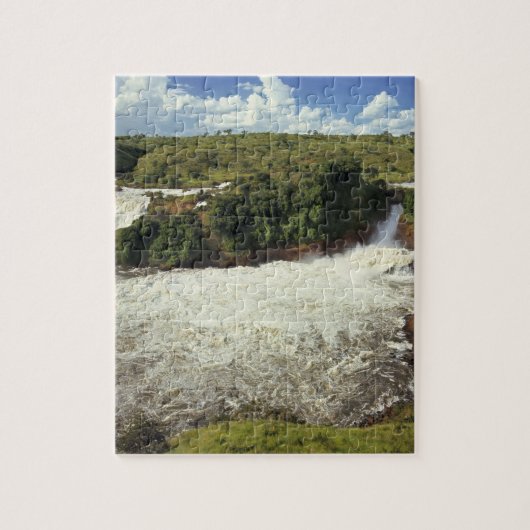 Afrika, Uganda, Murchison Falls NP. Der schaumige Puzzle (Vertikal)