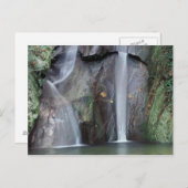 Afrika, Uganda, undurchdringlicher Regenwald, Postkarte (Vorne/Hinten)