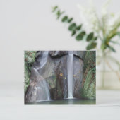 Afrika, Uganda, undurchdringlicher Regenwald, Postkarte (Stehend Vorderseite)