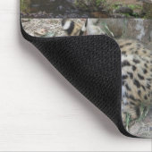 Afrika-wild lebende Tiere Mousepad (Ecke)