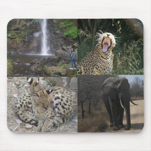 Afrika-wild lebende Tiere Mousepad (Vorne)