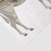 Afrika Wildtiere Leopard Vintage Dekoupage Seidenpapier (Ausschnitt)