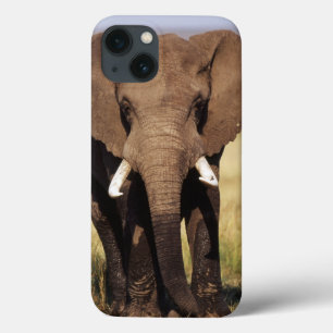 Afrikaner-Bush-Elefant Case-Mate iPhone Hülle