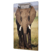 Afrikaner-Bush-Elefant Klemmbrett (Links)