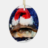 Afrikaner Sideneck Schildkröte, die eine Keramik Ornament (Rechts)