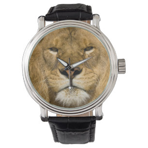 Afrikanerbarbary-Löwe, Panthera Löwe Löwe, ein  Armbanduhr