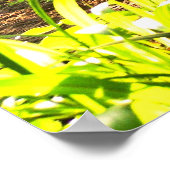 Afrikanisch Okapi Poster (Ecke)