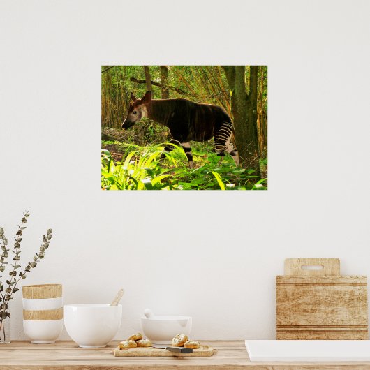 Afrikanisch Okapi Poster (Küche)