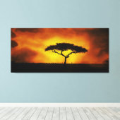 Afrikanische Acacia Landschaft Warmes Licht Leinwanddruck (Insitu (Holzboden))
