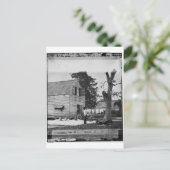 Afrikanische Amerikaner bereiten Baumwolle um 1862 Postkarte (Stehend Vorderseite)