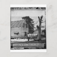 Afrikanische Amerikaner bereiten Baumwolle um 1862