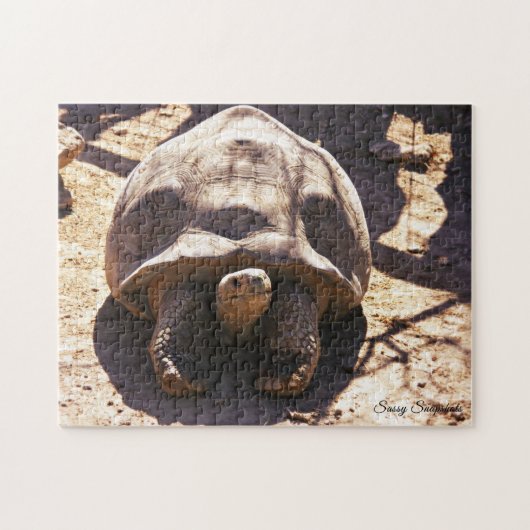 Afrikanische angetriebene Schildkröte Puzzle (Horizontal)
