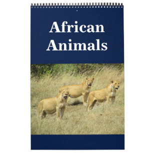 afrikanische Animalia Kalender
