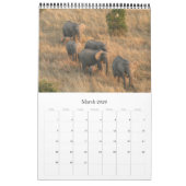 afrikanische Animalia Kalender (Mär 2026)