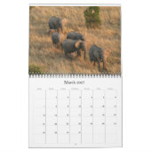 afrikanische Animalia Kalender (Mär 2027)