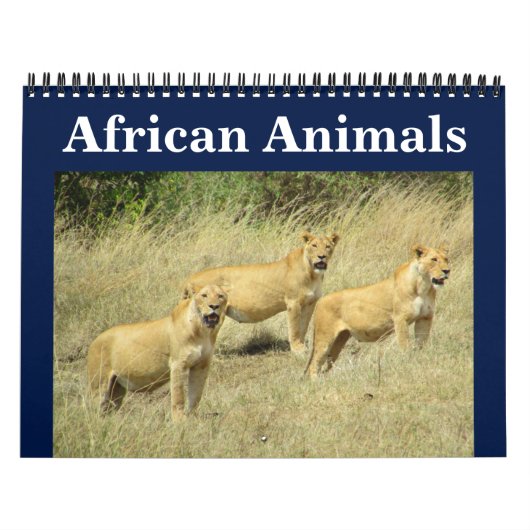 afrikanische Animalia Kalender (Titelbild)