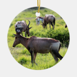 Afrikanische Antilope auf Safari in Südafrika Keramikornament