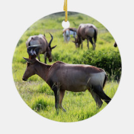 Afrikanische Antilope auf Safari in Südafrika Keramikornament