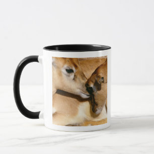 Afrikanische Antilope und Kitz Tasse