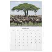 Afrikanische Antilopen 2025 Kalender (Mär 2027)