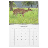 Afrikanische Antilopen 2025 Kalender (Feb 2027)