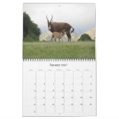 Afrikanische Antilopen 2025 Kalender (Jan 2027)