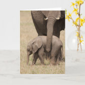 Afrikanische Baby Elephant mit Mutter Karte (Gelbe Blume)