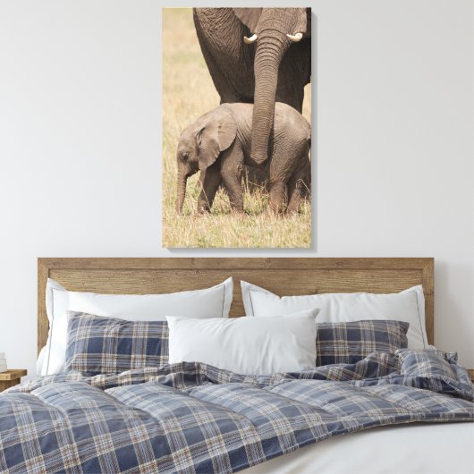 Afrikanische Baby Elephant mit Mutter Leinwanddruck (Insitu (Schlafzimmer))