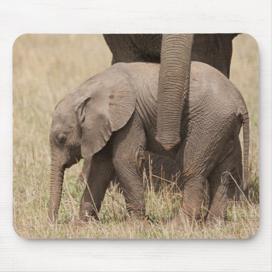 Afrikanische Baby Elephant mit Mutter Mousepad (Vorne)