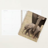 Afrikanische Baby Elephant mit Mutter Planer (Anzeige)