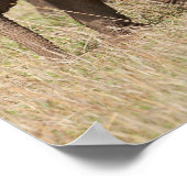 Afrikanische Baby Elephant mit Mutter Poster (Ecke)
