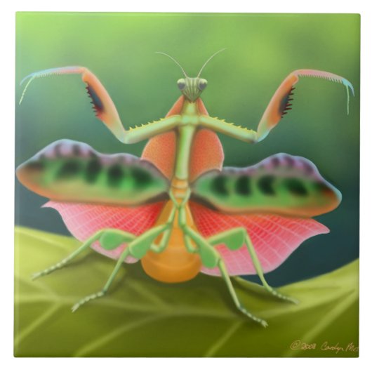 Afrikanische betender Mantis-Fliese Fliese (Vorderseite)