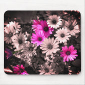 Afrikanische Daisis Blume Art Mousepad (Vorne)