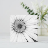 Afrikanische Daisy Monochrome Floral Karte (Stehend Vorderseite)