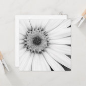 Afrikanische Daisy Monochrome Floral Karte (Vorderseite/Rückseite Beispiel)