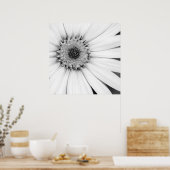 Afrikanische Daisy Monochrome Floral Poster (Küche)